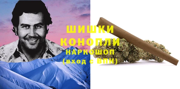 PSILOCYBIN Покровск