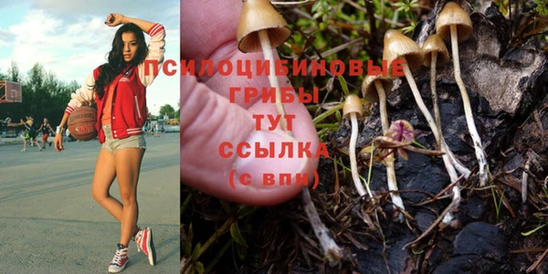 PSILOCYBIN Покровск