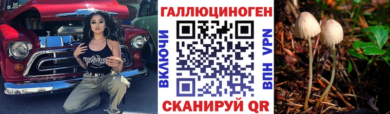 Галлюциногенные грибы Psilocybe Купить где Суджа