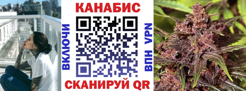 Шишки марихуана планчик  Купить закладки  Суджа 